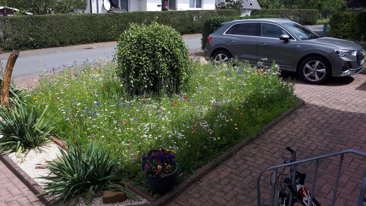 Ferienwohnung 43Qm Torf 10 Naehe Moehnesee Warstein Eksteriør bilde